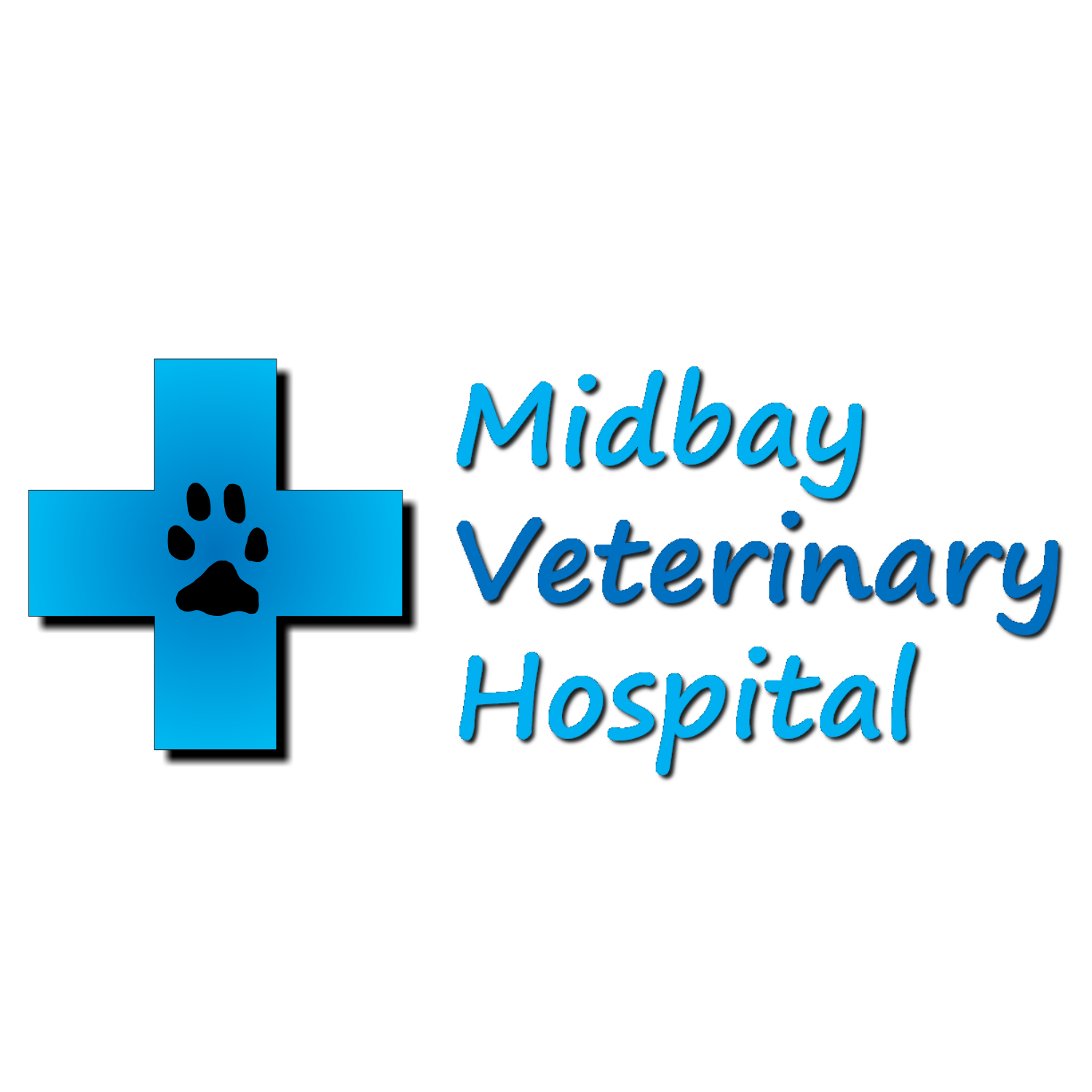 Gracie DeGafferelly - Senior Veterinary Nurse - image placeholder